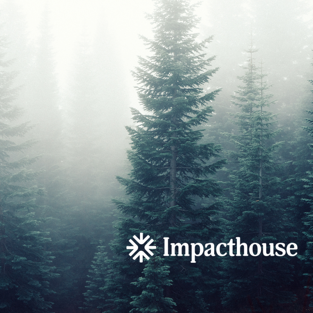 Using your ESG strategy to attract investors